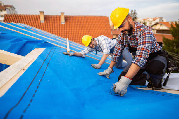 Best Storm Damage Roof Repair  in Albertson, NY